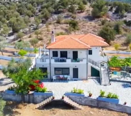 Rodia 4 Guests פוטוס